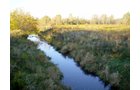 Property photo 6 - 202+/- Acres Offered in 7 Tracts